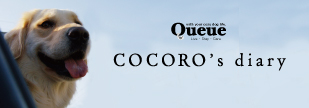 Queue-with your cozy dog life COCORO'S diary